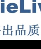 福建省福鼎市杰力王机车部件有限公司