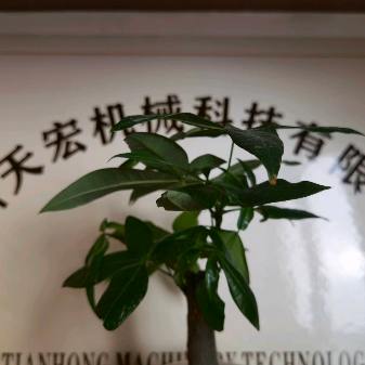 台州天宏机械科技有限公司
