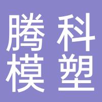 台州黄岩腾科模塑有限公司