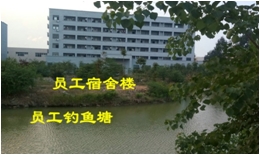 4bdbc1fe75392f362a537206ccc5fd2.png